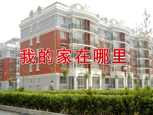 托班社会《我的家在哪里》PPT课件我的家在哪里-托班.pptx