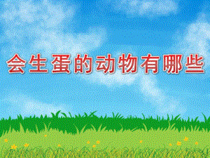 中班科学《会生蛋的动物有哪些》PPT课件会生蛋的动物有哪些.ppt
