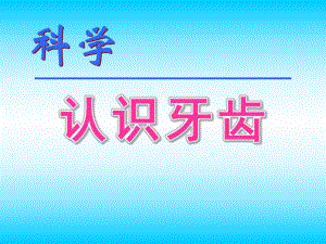 幼儿园科学《认识牙齿》PPT课件认识牙齿PPT课件.pptx