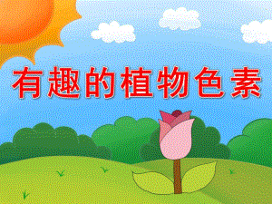 幼儿园有趣的植物色素PPT课件教案PPT课件.pptx