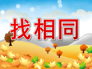 中班数学活动《找相同》PPT课件教案PPT课件.ppt
