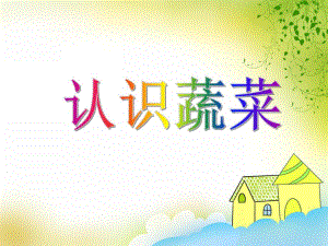 中班科学优质课《认识蔬菜》PPT课件中班科学优质课《认识蔬菜》PPT课件.ppt