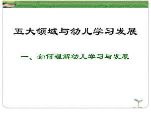 五大领域与幼儿学习发展PPT课件五大领域与幼儿学习发展PPT课件.ppt