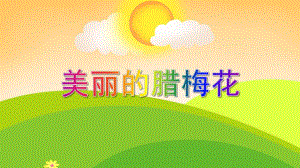 中班美术活动《美丽的腊梅花》PPT课件教案PPT课件.ppt