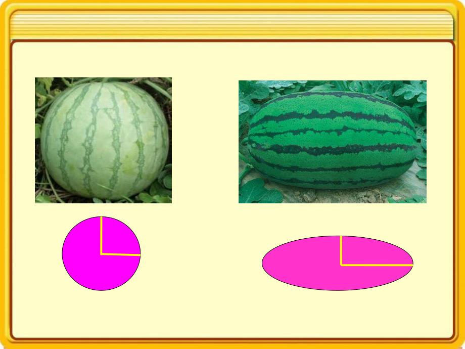 中班科学《圆圆的西瓜》PPT课件PPT课件.ppt_第3页