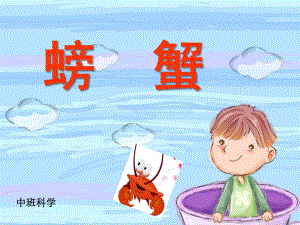 中班科学《螃蟹》PPT课件教案中班科学PPT-螃蟹.ppt