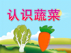 中班科学《认识蔬菜》PPT课件教案PPT课件.ppt