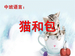 中班语言绕口令《猫和包》PPT课件教案猫和包.ppt
