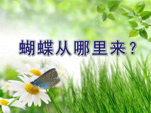 中班科学《蝴蝶从哪里来？》PPT课件教案ppt课件.ppt