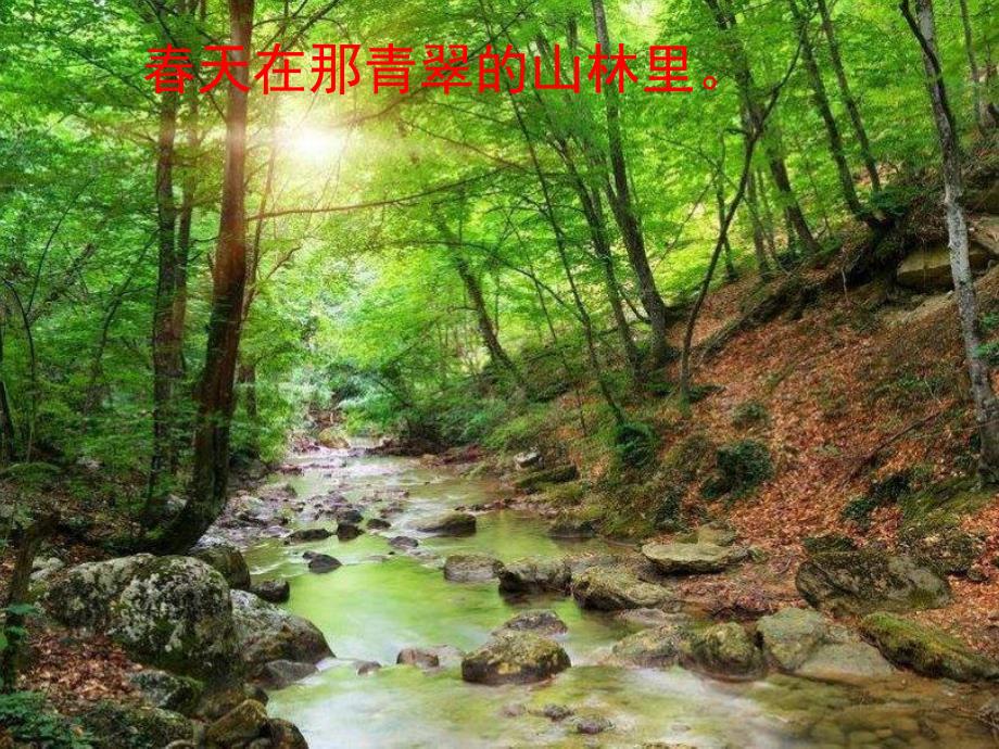 幼儿园音乐《春天在哪里》PPT课件教案歌曲音乐:春天在哪里.pptx_第2页