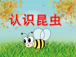 小班科学《认识昆虫》PPT课件教案PPT课件.pptx