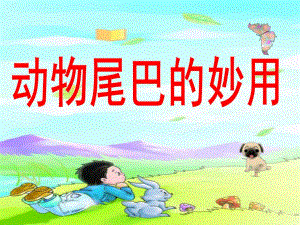 大班《动物尾巴的妙用》PPT课件大班-动物尾巴的妙用.ppt