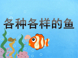 幼儿园美术《各种各样的鱼》PPT课件教案PPT课件.pptx
