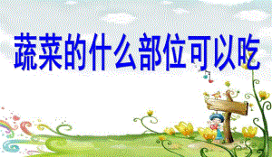 中班健康《蔬菜什么部位可以吃》PPT课件教案蔬菜什么部位可以吃.ppt