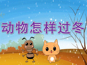 中班科学《动物怎样过冬》PPT课件教案PPT课件.ppt
