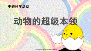 中班科学活动《动物的超极本领》PPT课件.ppt