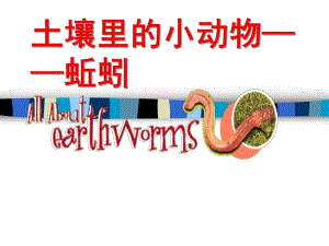 幼儿园科学《土壤里的小动物蚯蚓》PPT课件ppt课件.pptx