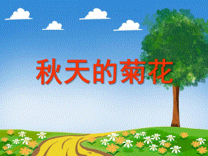 中班科学活动《天的菊花》PPT课件教案PPT课件.ppt