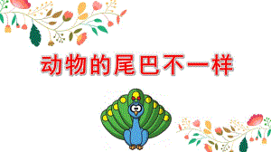 中班语言《动物的尾巴不一样》PPT课件教案中班科学活动课《动物的尾巴》PPT课件.ppt