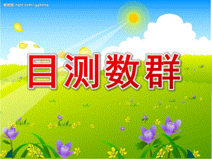 中班数学《目测数群》PPT课件教案中班数学：目测数群.ppt