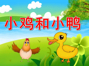 小鸡和小鸭PPT课件教案图片PPT课件.pptx
