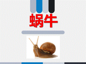 中班认识蜗牛PPT课件教案图片科学《蜗牛》PPT课件.ppt