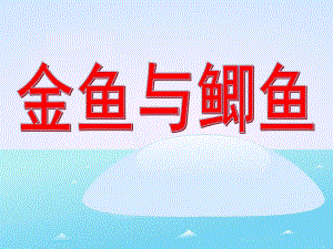 中班自然科学《金鱼与鲫鱼》PPT课件教案.ppt