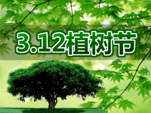 幼儿园植树节PPT课件幼儿园植树节.pptx