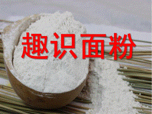中班科学《趣识面粉》PPT课件教案幼儿园中班科学-《趣识面粉》.ppt