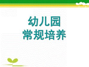 幼儿园班级常规管理PPT课件幼儿园班级常规管理.pptx
