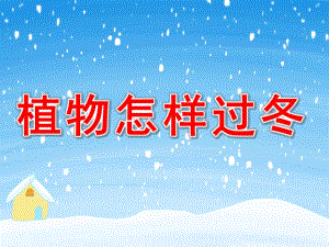 幼儿园植物过冬PPT课件教案图片PPT课件.pptx