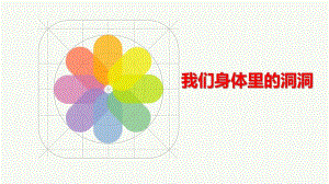 中班科学《我们身体里的洞洞》PPT课件教案PPT课件.ppt