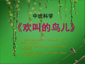 中班科学《欢叫的鸟儿》PPT课件各种各样的鸟.ppt
