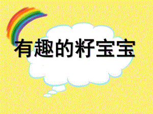 中班科学《有趣的籽宝宝》PPT课件教案幼儿园中班科学《有趣的籽宝宝》.ppt