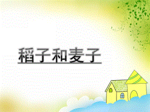 中班《稻子和麦子》PPT课件教案中班《稻子和麦子》.ppt