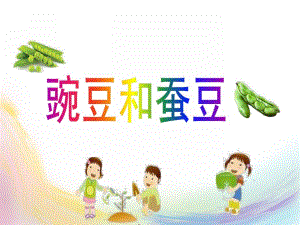 幼儿园儿歌《豌豆和蚕豆》PPT课件儿歌《豌豆和蚕豆》.pptx