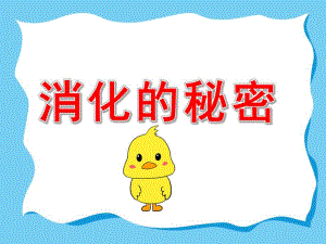 幼儿园消化的秘密PPT课件教案PPT课件.pptx