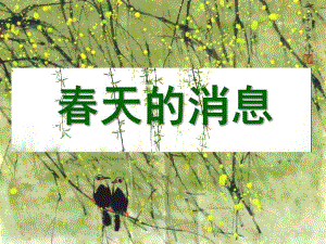 中班科学《春天的信息》PPT课件教案中班春天的信息.ppt