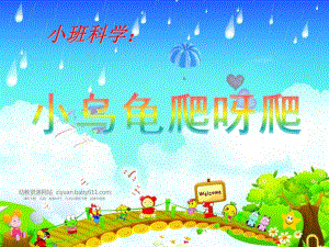 小班科学《小乌龟爬呀爬》小班科学《小乌龟爬呀爬》课件.pptx