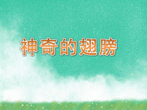 中班科学《神奇的翅膀》PPT课件比本领.ppt