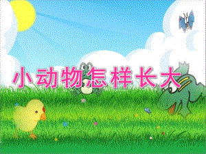 中班科学说课稿《小动物怎样长大》PPT课件幼儿园中班科学《小动物怎样长大》.ppt