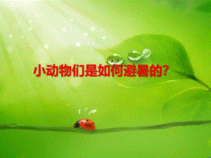 中班科学《小动物们是如何避暑的？》PPT课件中班科学《小动物们是如何避暑的？》PPT课件.ppt