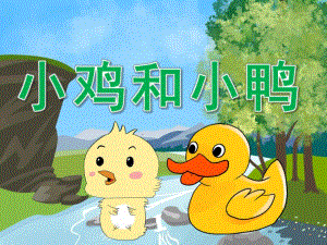 中班语言故事《小鸡和小鸭》PPT课件教案PPT课件.ppt