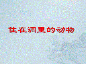大班《住在洞里的动物》PPT课件住在洞里的动物.ppt