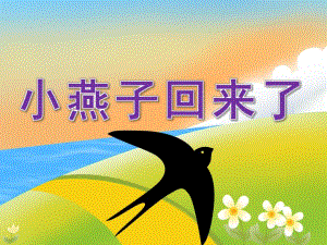 中班科学《小燕子回来了》PPT课件教案PPT课件.ppt