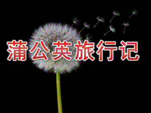 中班语言《蒲公英旅行记》PPT课件音频PPT课件.ppt
