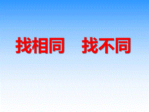 中班游戏《找相同找不同》PPT课件中班游戏《找相同找不同》PPT课件.ppt