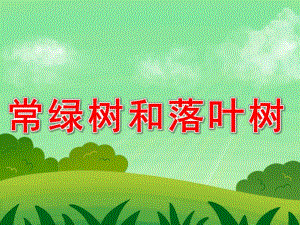 常绿树和落叶树PPT课件教案图片PPT课件.pptx