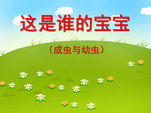 中班科学《这是谁的宝宝（成虫与幼虫）》PPT课件中班科学《这是谁的宝宝（成虫与幼虫）》PPT课件.ppt
