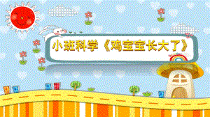 小班科学《鸡宝宝长大了》PPT课件教案小班科学《鸡宝宝长大了》课件.pptx